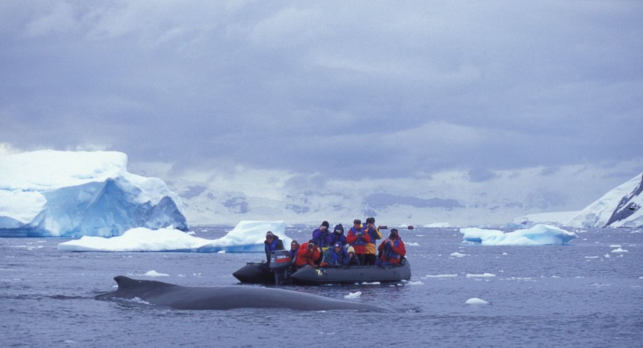 Time with the Minkes , Neko Harbour