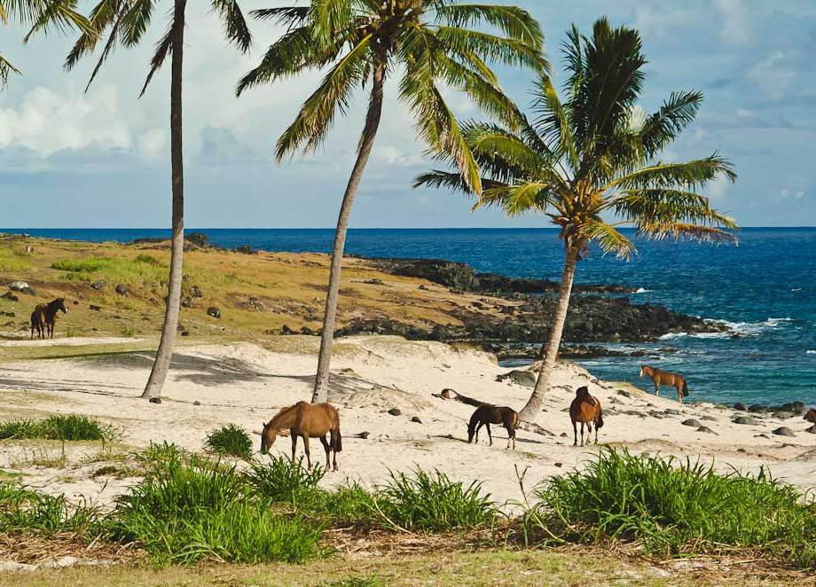 Anakena Beach