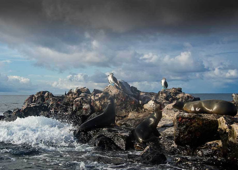 Lazy Days in the Galapagos