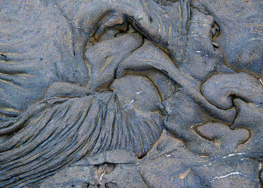 Old Man Lava, Sullivan Island