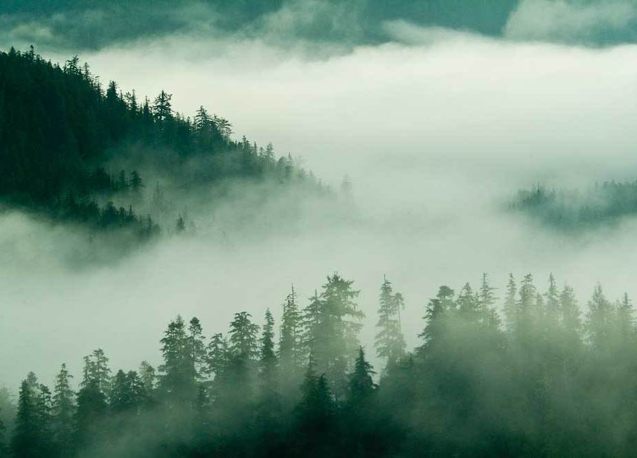 All will be revealed