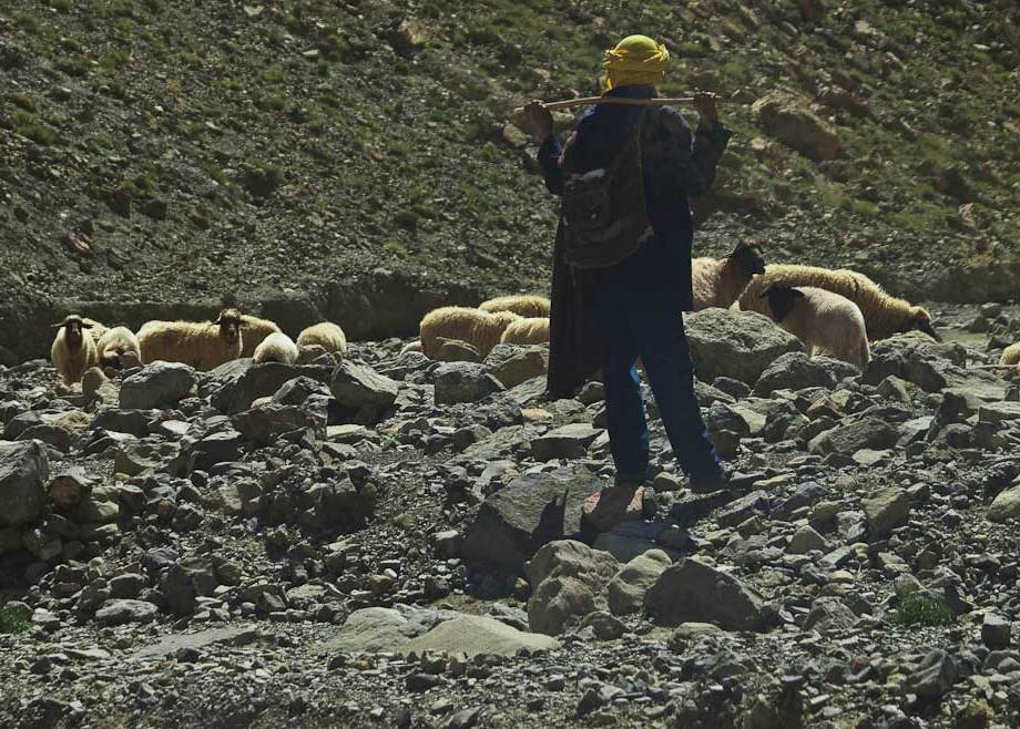Shepherd in the Atlas Mountains
