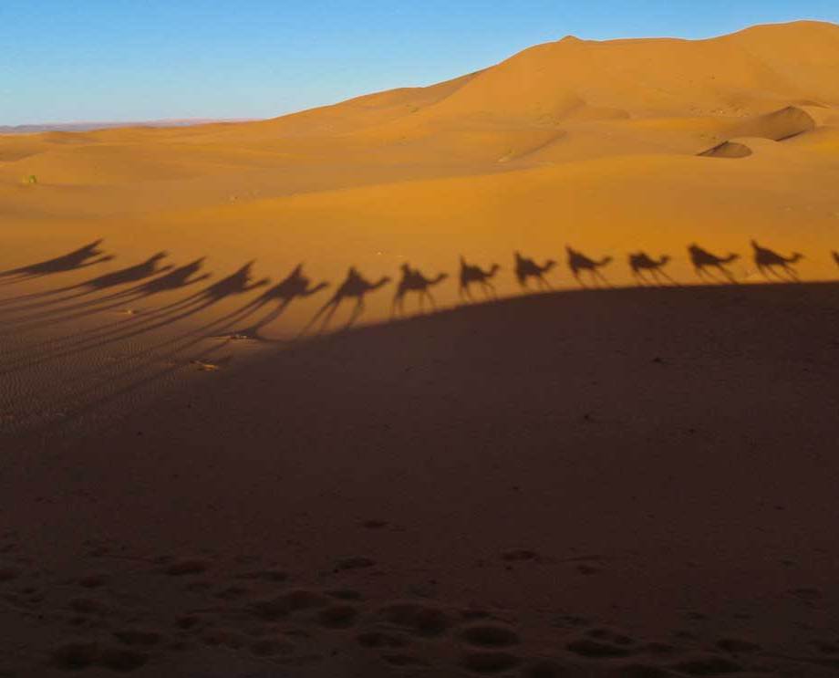 Into the Sahara