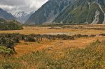 The valley at Mt Cook