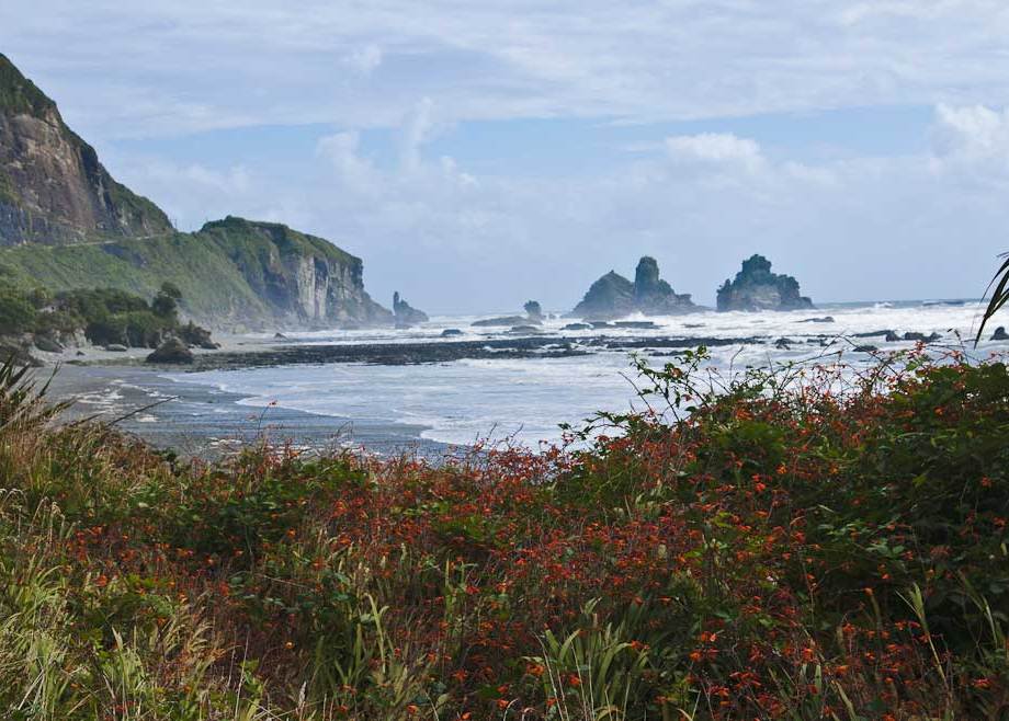 West coast beach #2, South Island