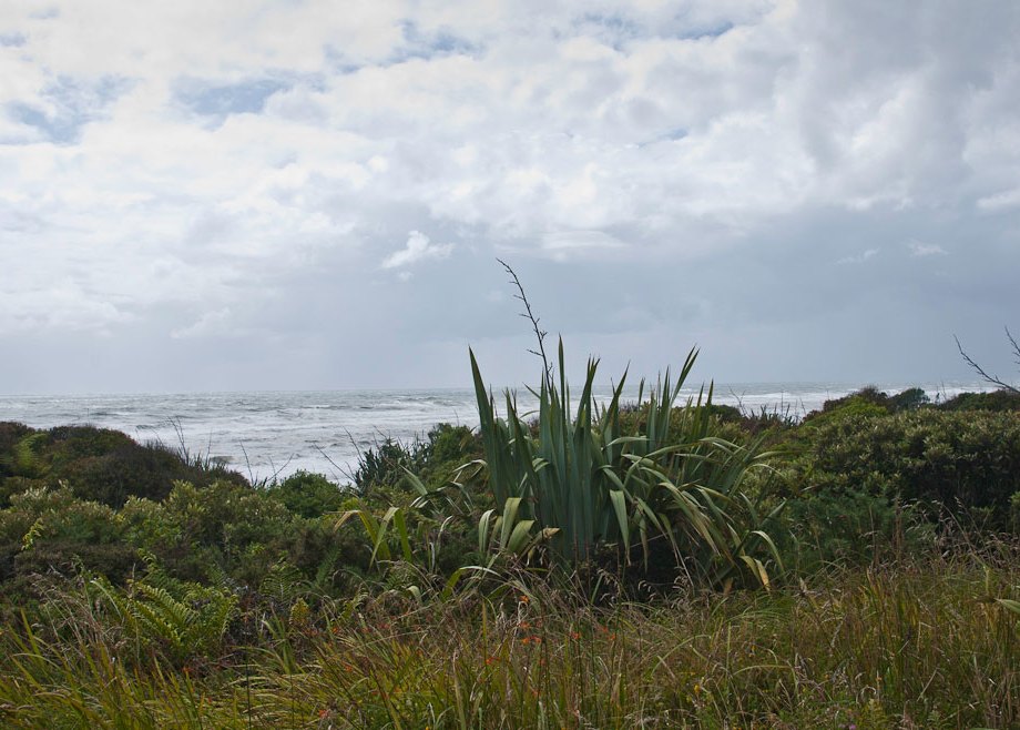 West Coast South Island