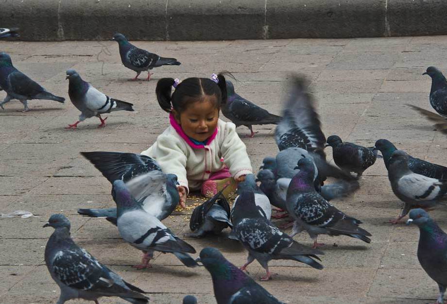 Playing in Plaza de Armas, Cusco