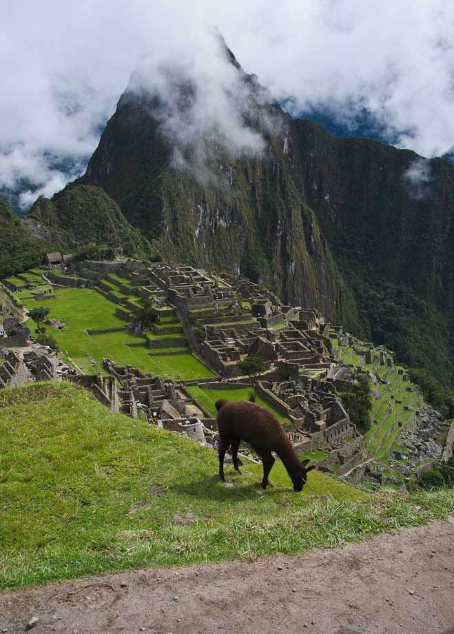 Life at the Top, Machu Picchu