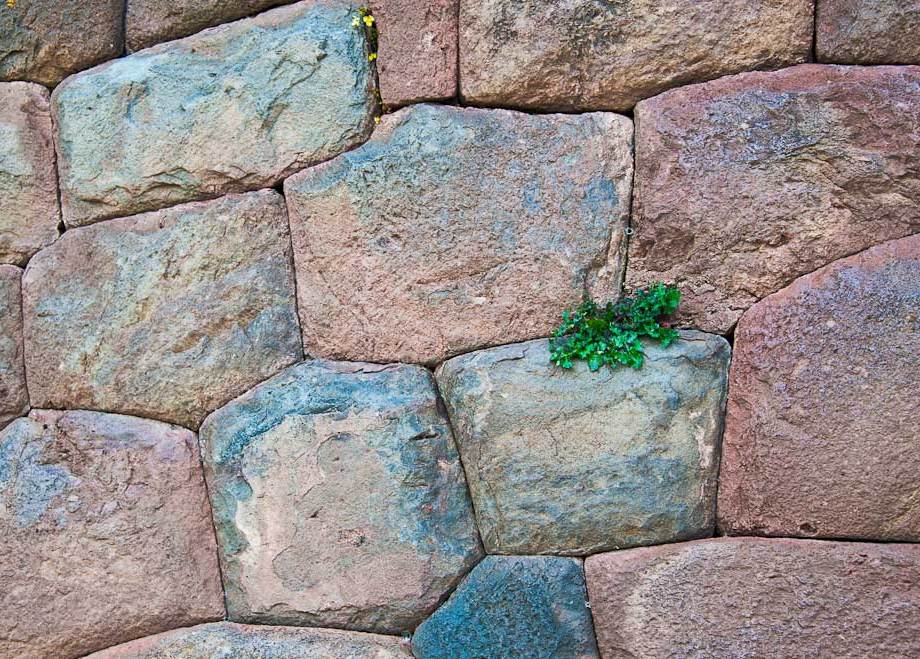 Life Struggles - Machu Picchu