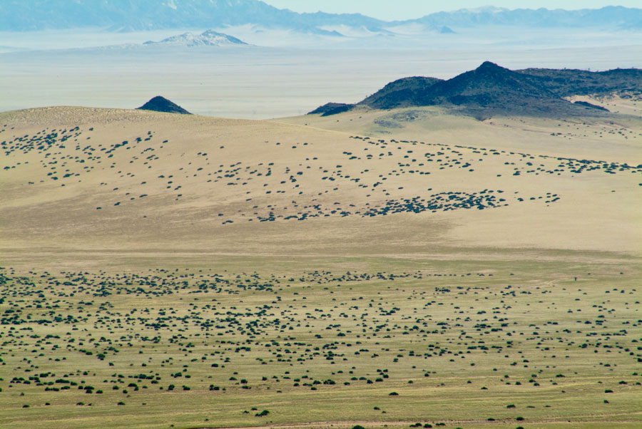 Namibian sands
