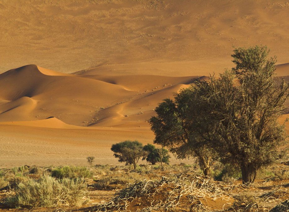 Dunes at Sossusvlei