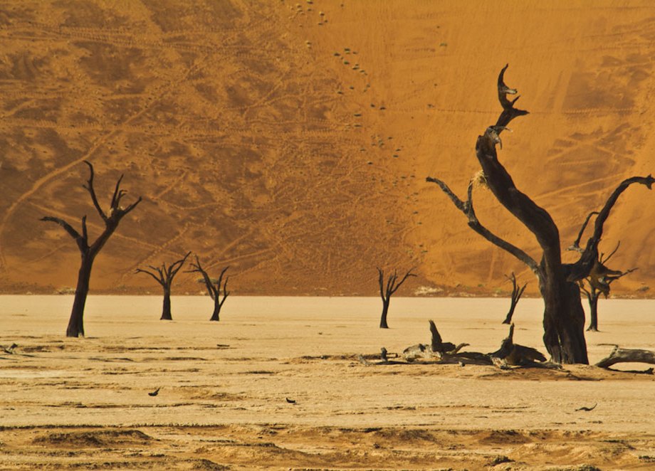 Deadvlei