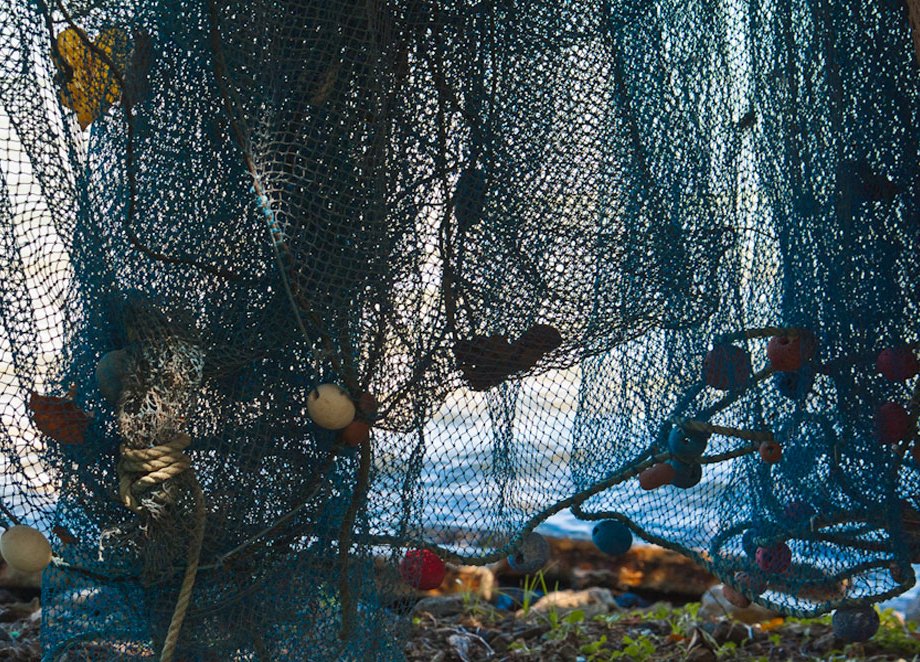 Fish nets, Moorea