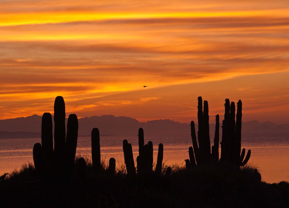 Sunset at Santa Catalina