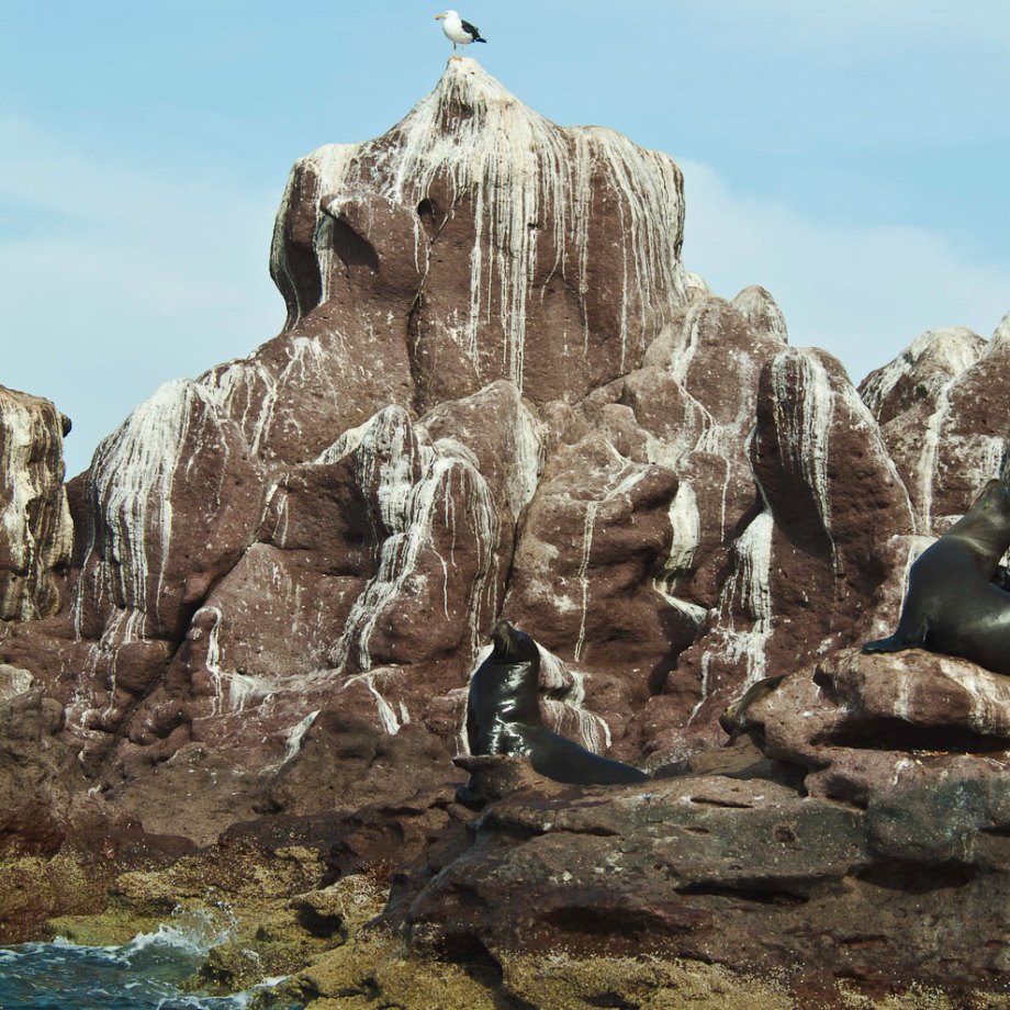 My Kingdom, Gulf of California