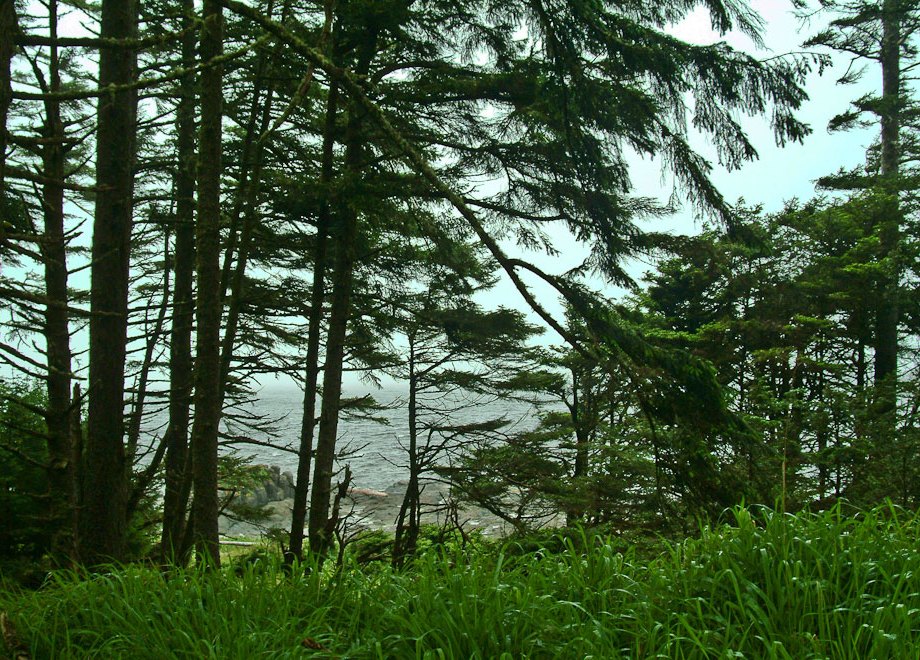 On the way to North Beach, Naikoon Provincial Park