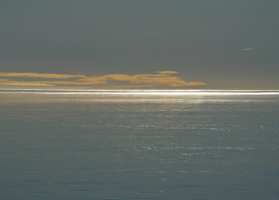 Magic Arctic Light