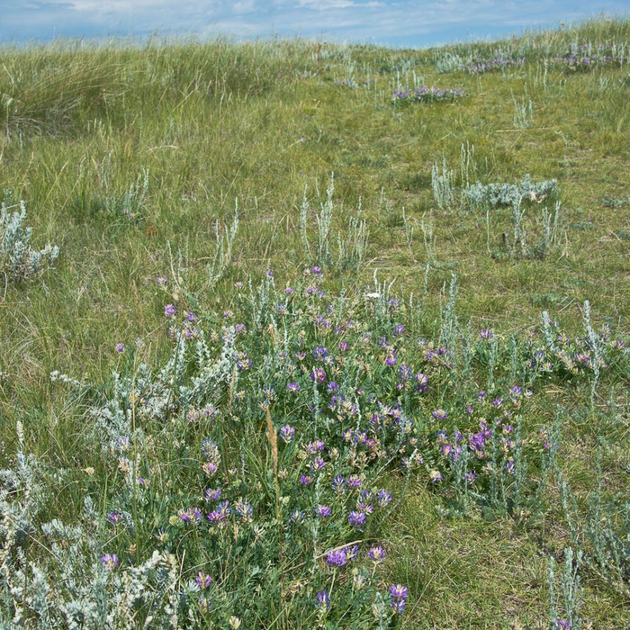 The Path to Ancient Wisdom